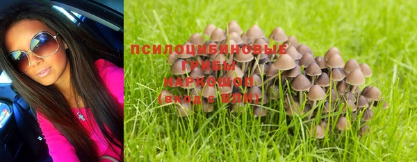 трава Алзамай