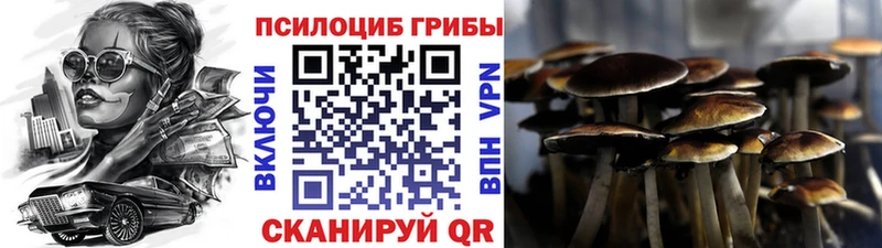 Галлюциногенные грибы мицелий  купить наркотик  Павлово 